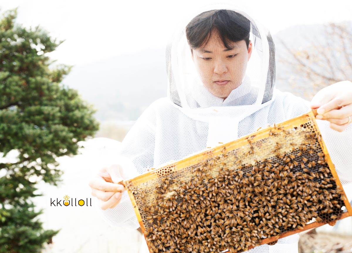 꿀올 - Delicious Honey Gifted by Nature